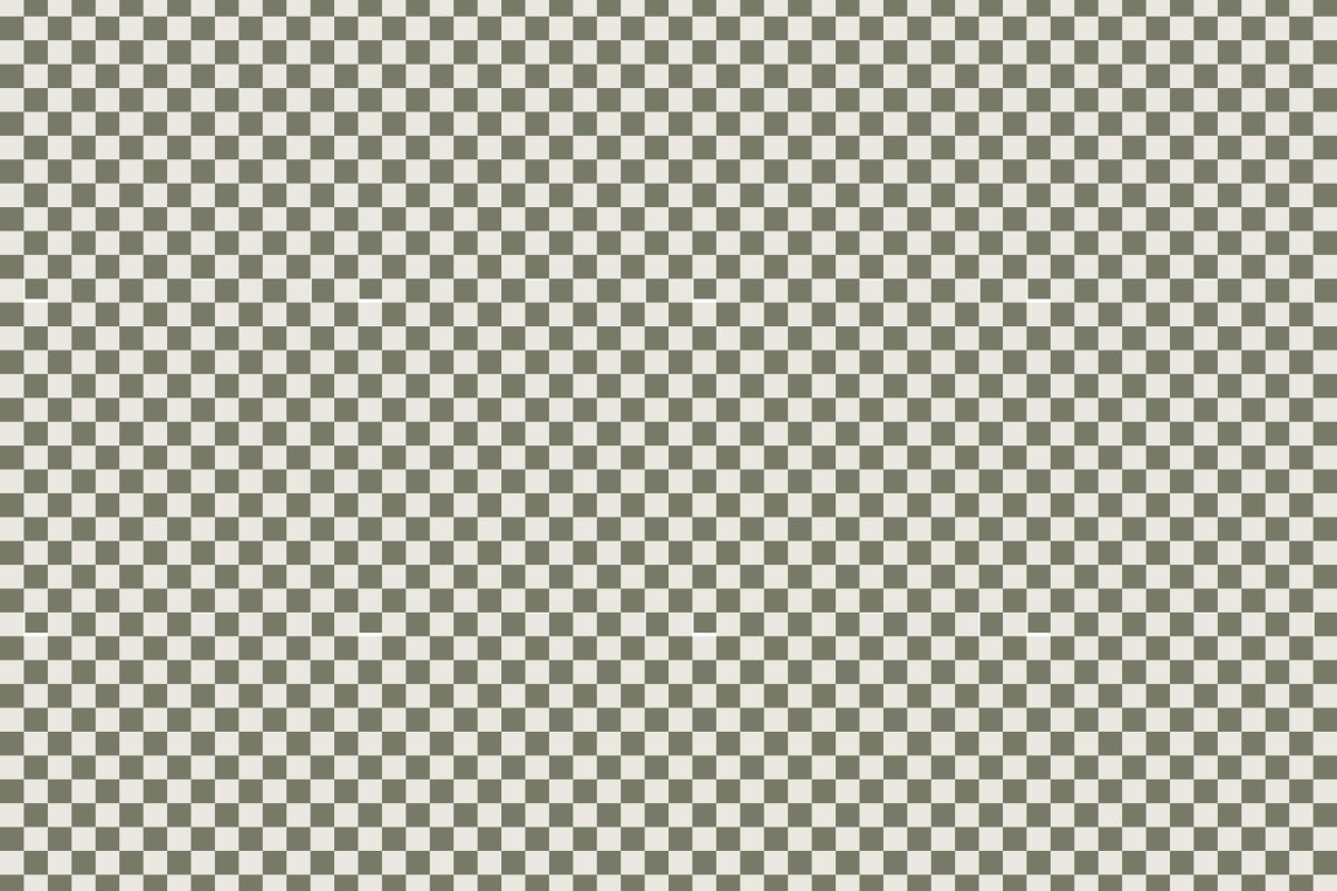Checkers 20