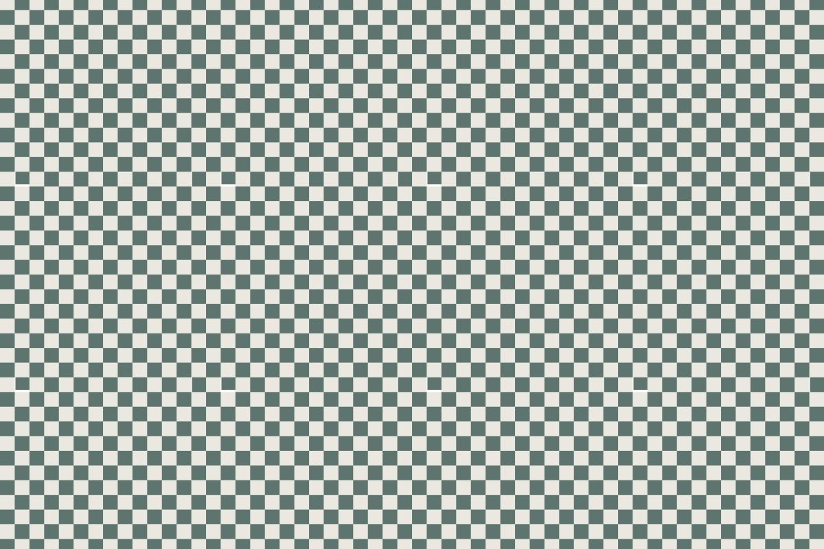 Checkers 20