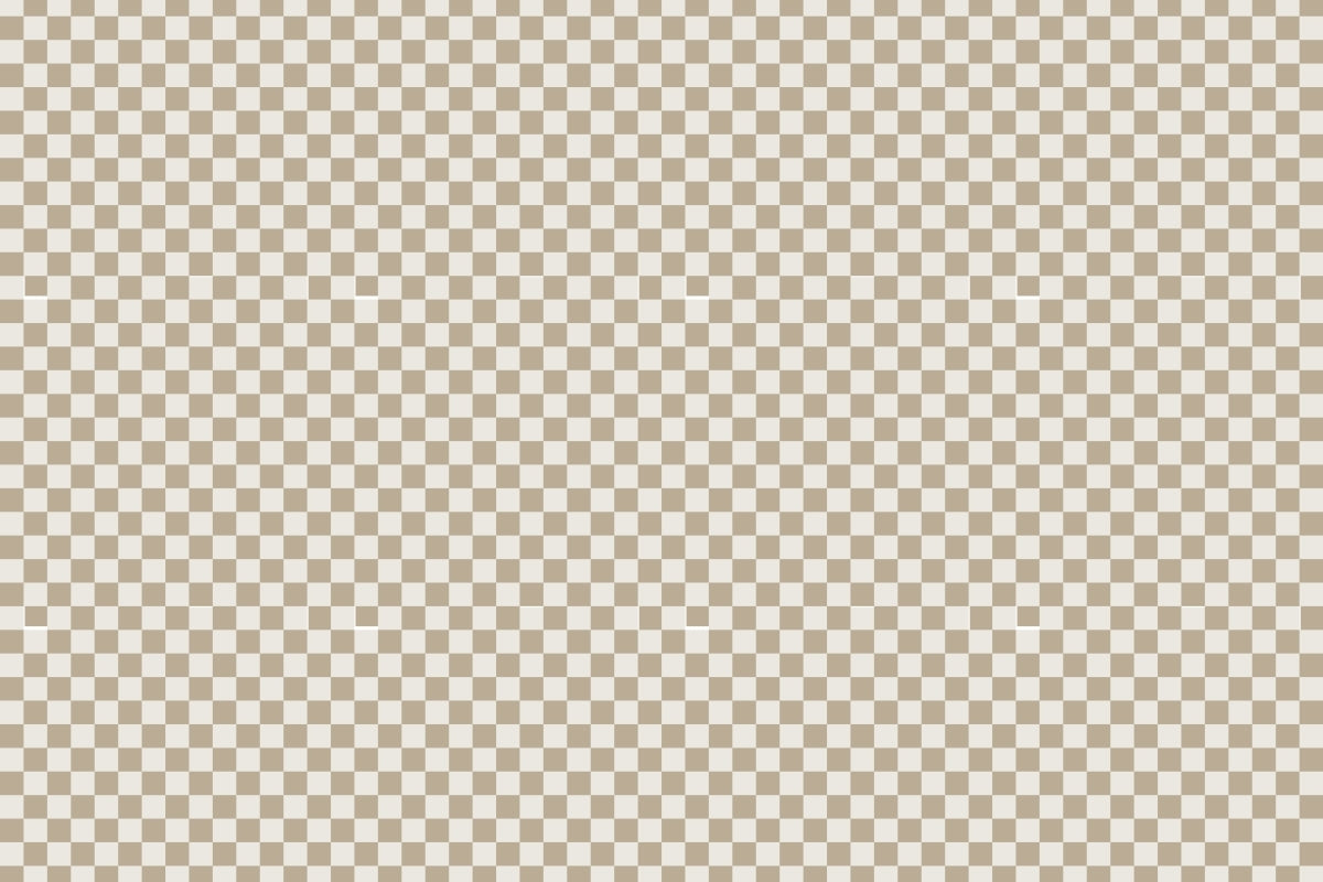 Checkers 20