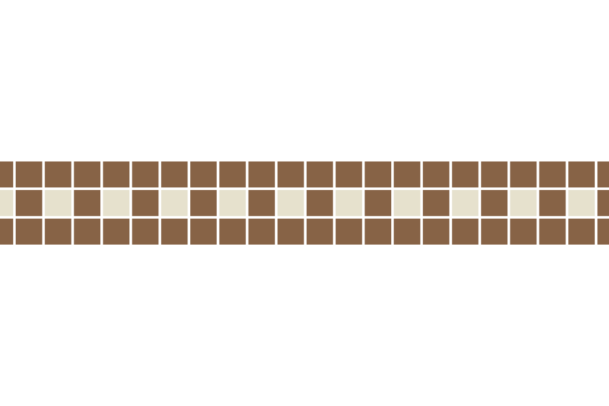 Ticker Border